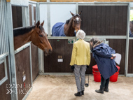 AH190423-58 - Anthony Honeyball Stable Visit